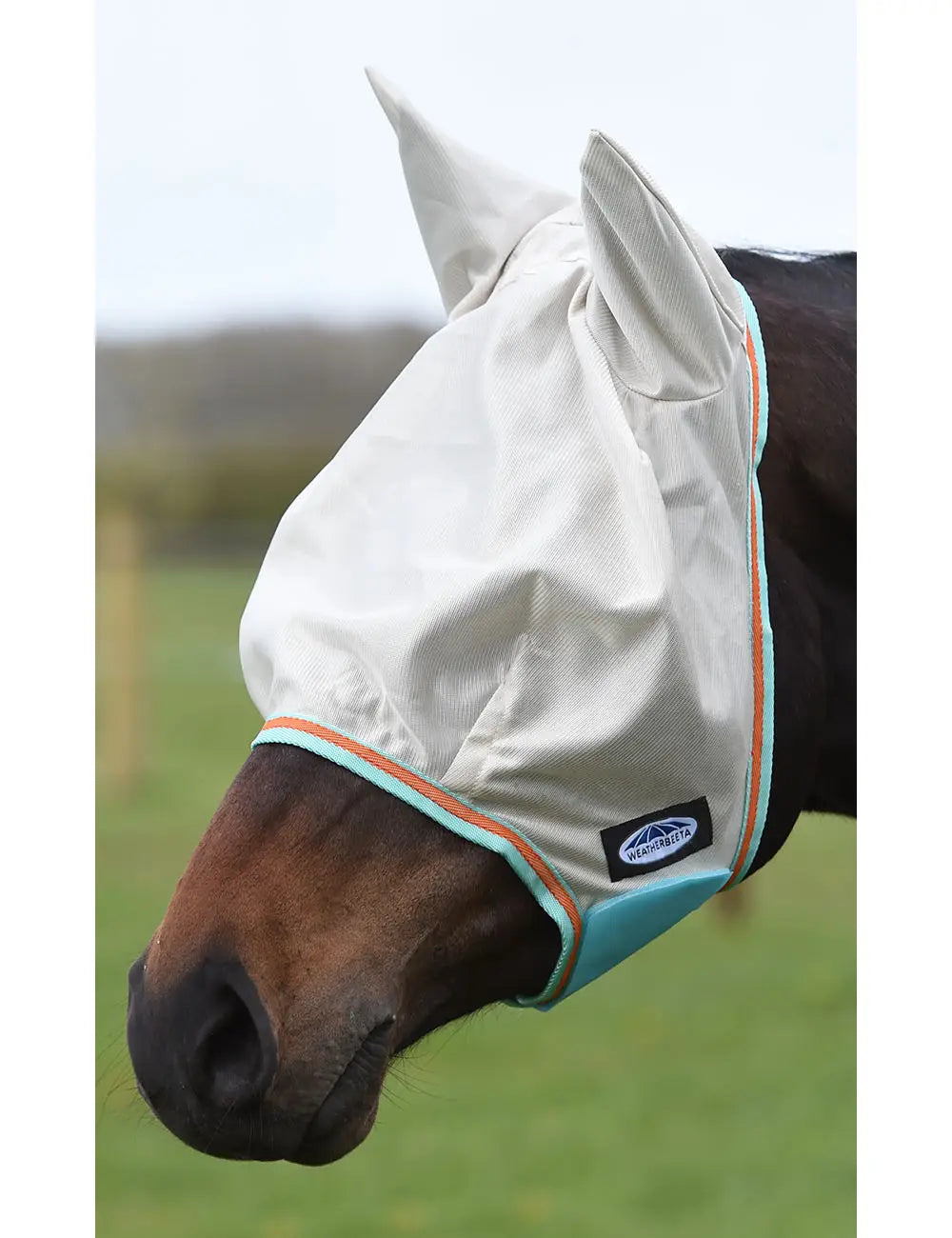 WEATHERBEETA COMFITEC ESSENTIAL MESH MASK