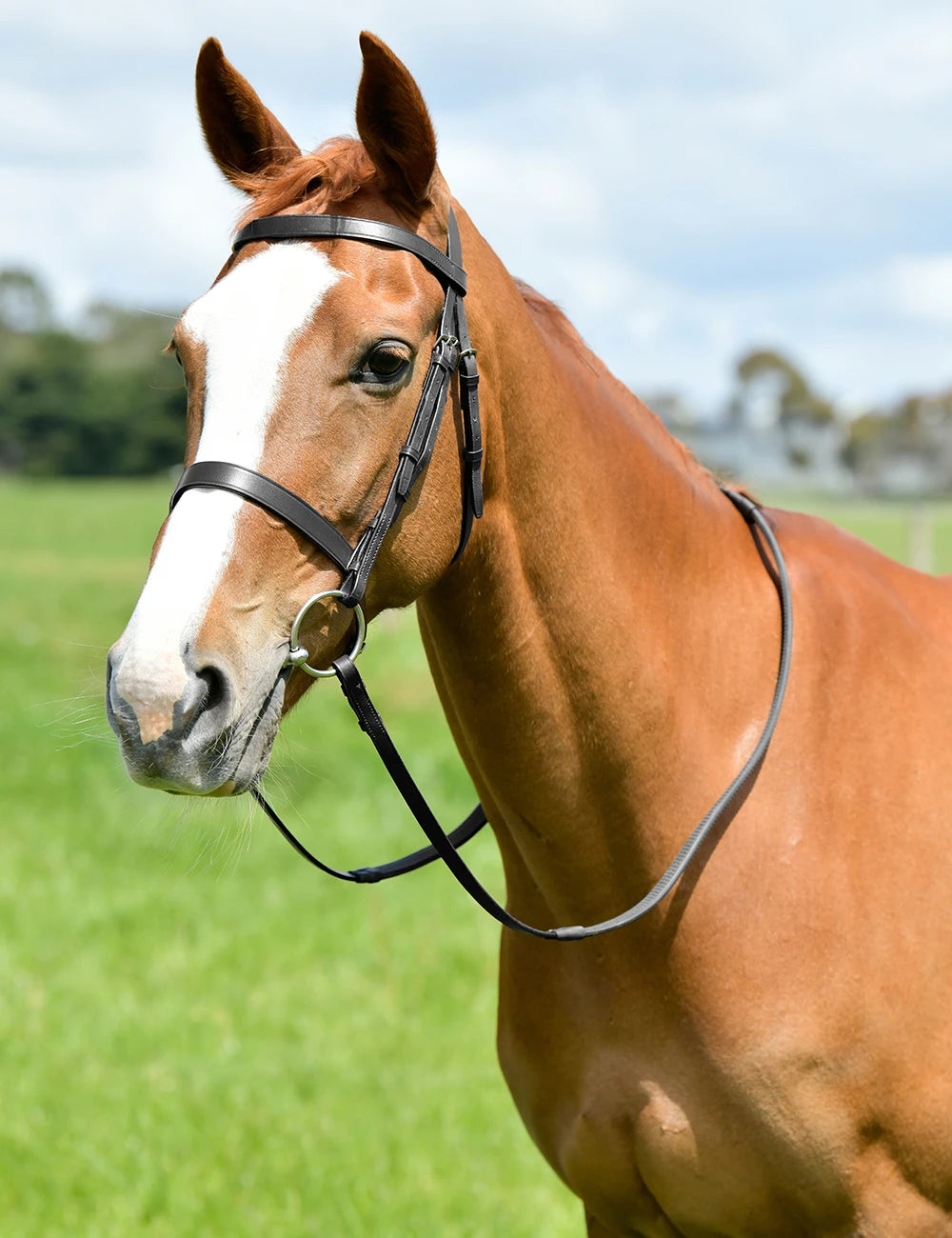 KINCADE Classic Flat Hunt Bridle With Reins