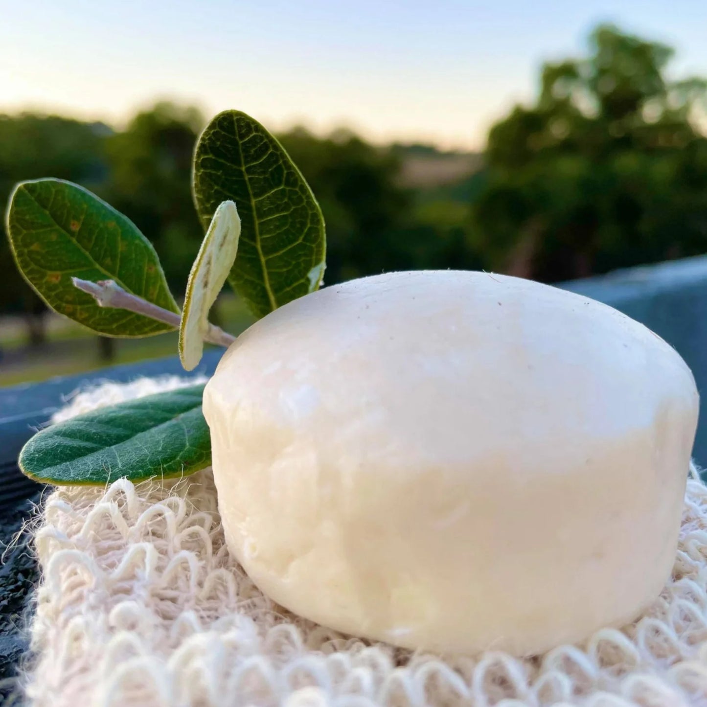 ECO-FRIENDLY ORIGINAL SHAMPOO BAR