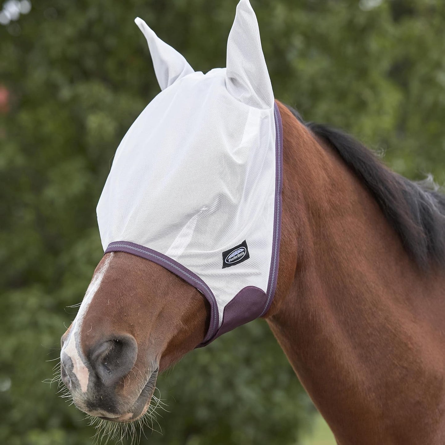 WEATHERBEETA COMFITEC ESSENTIAL MESH MASK