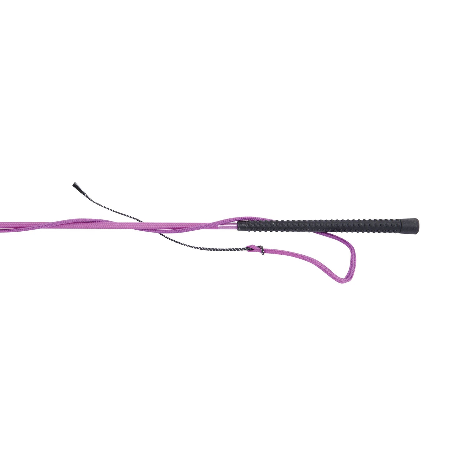 DUBLIN BRIGHTS LUNGE WHIP