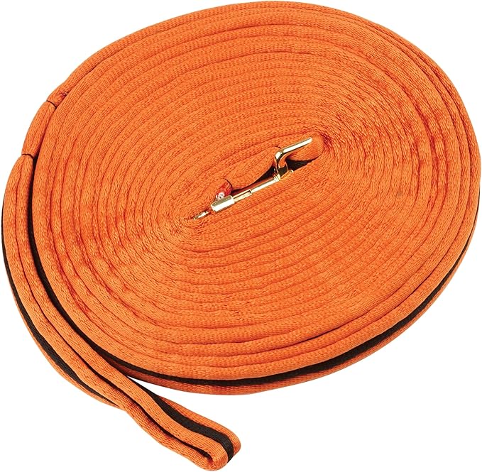 KINCADE Brights Two Tone Padded Lunging Rein