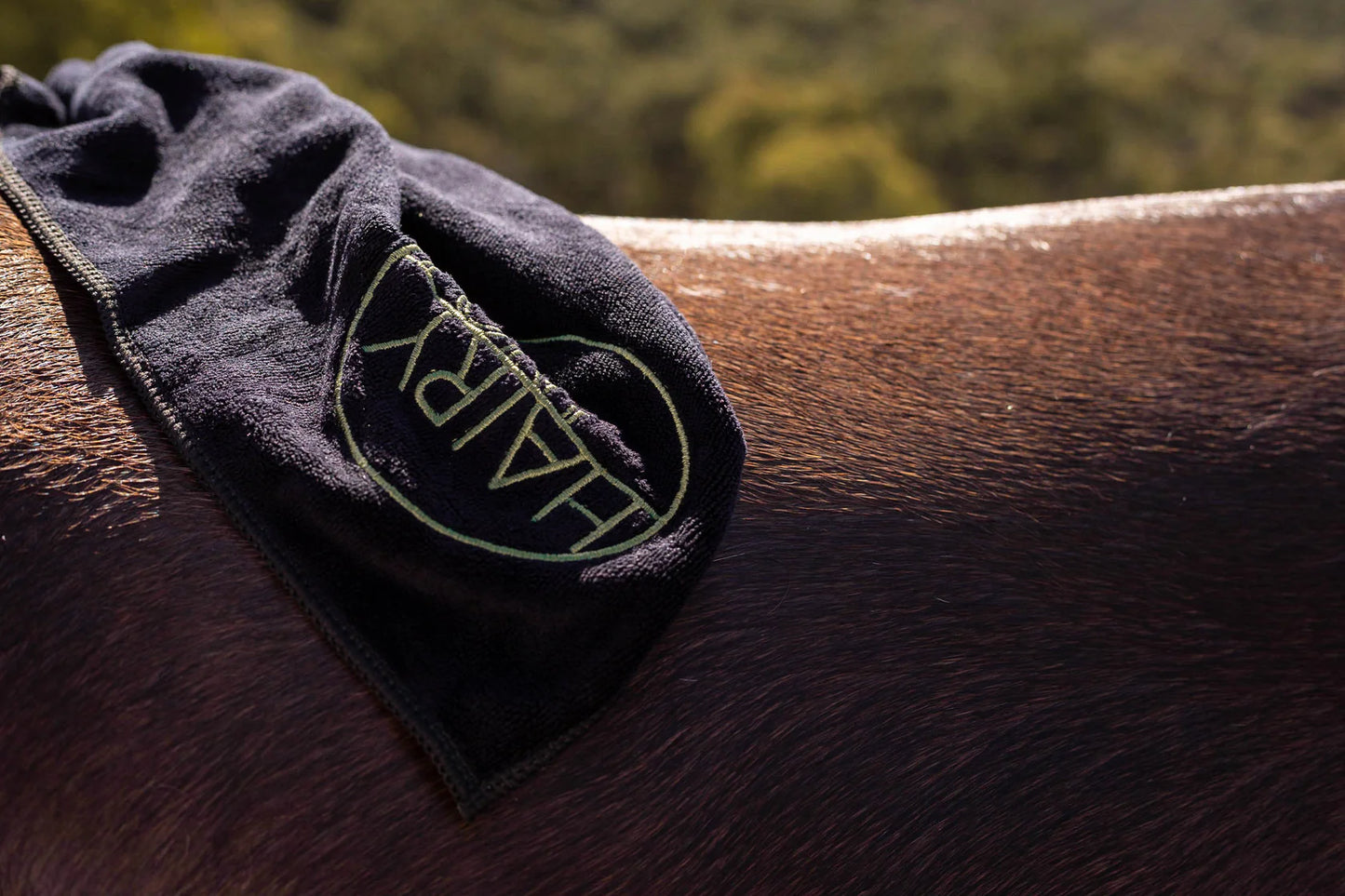 DOG AND HORSE MICROFIBRE TOWELETTE