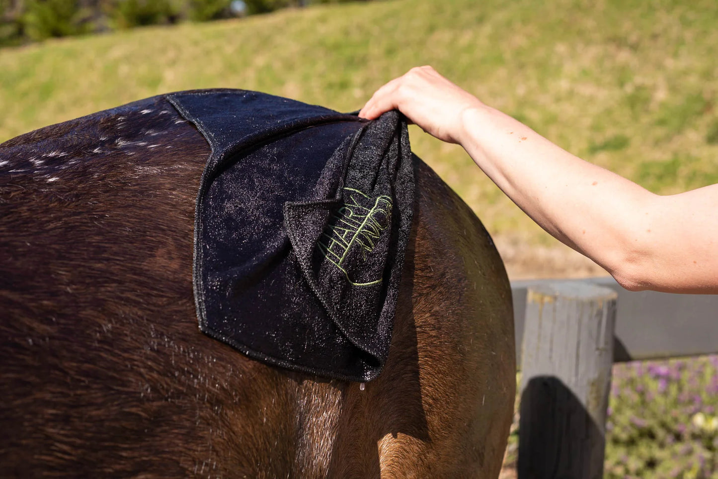 DOG AND HORSE MICROFIBRE TOWELETTE