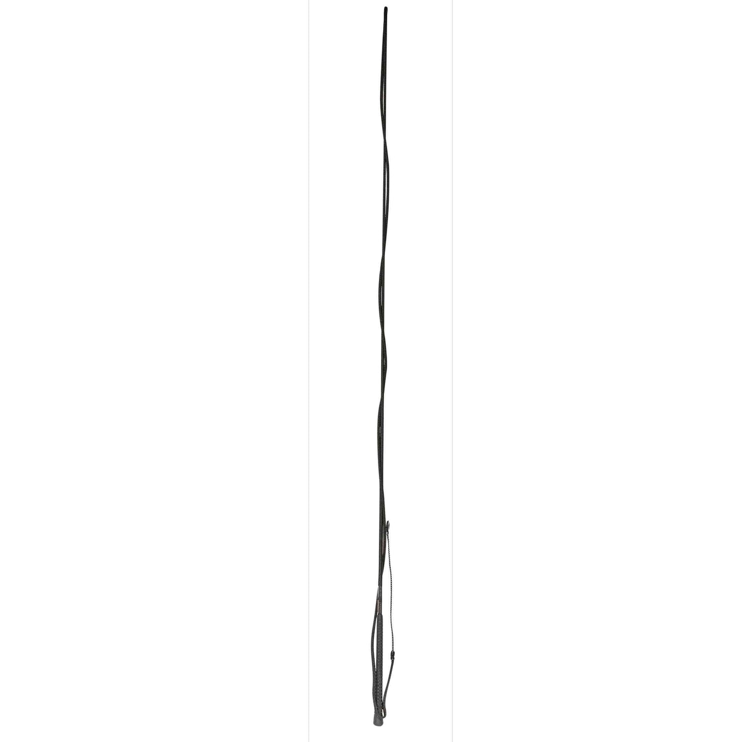 DUBLIN BRIGHTS LUNGE WHIP