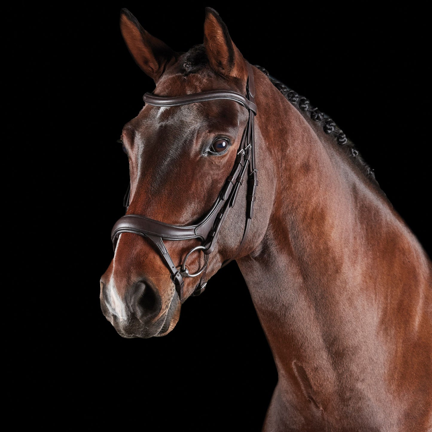 COLLEGIATE COMFITEC VOGUE ANATOMICAL BRIDLE