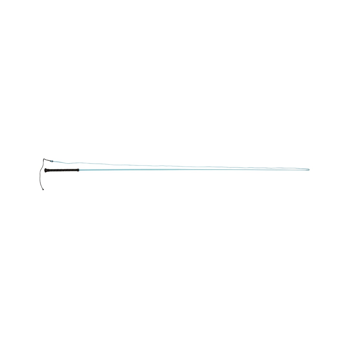 DUBLIN BRIGHTS LUNGE WHIP