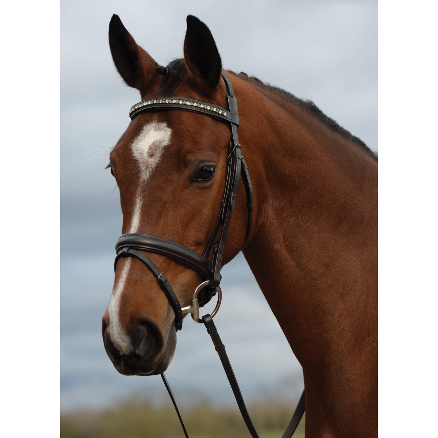 KINCADE PADDED CRYSTAL CRANK FLASH BRIDLE