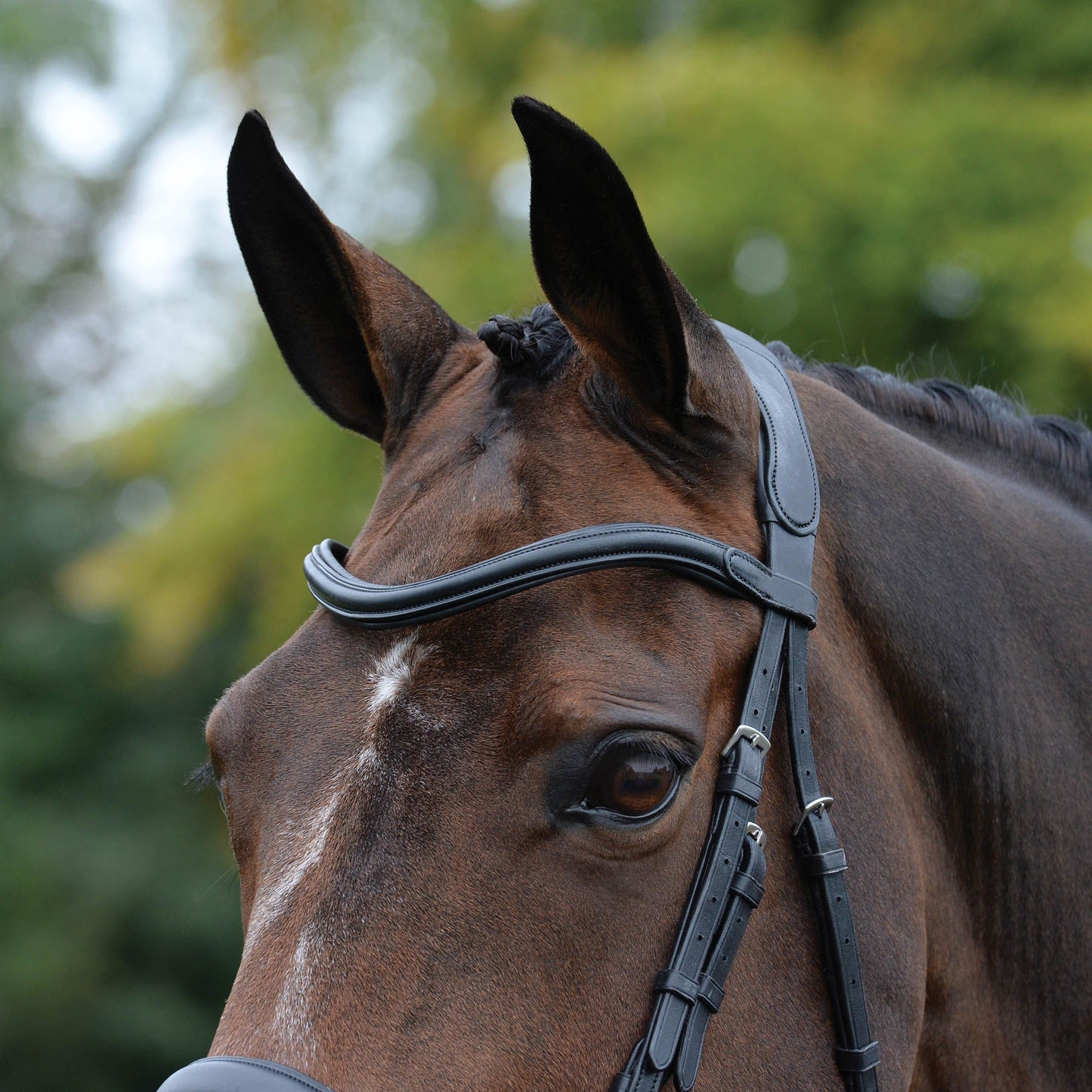 COLLEGIATE COMFITEC VOGUE ANATOMICAL BRIDLE