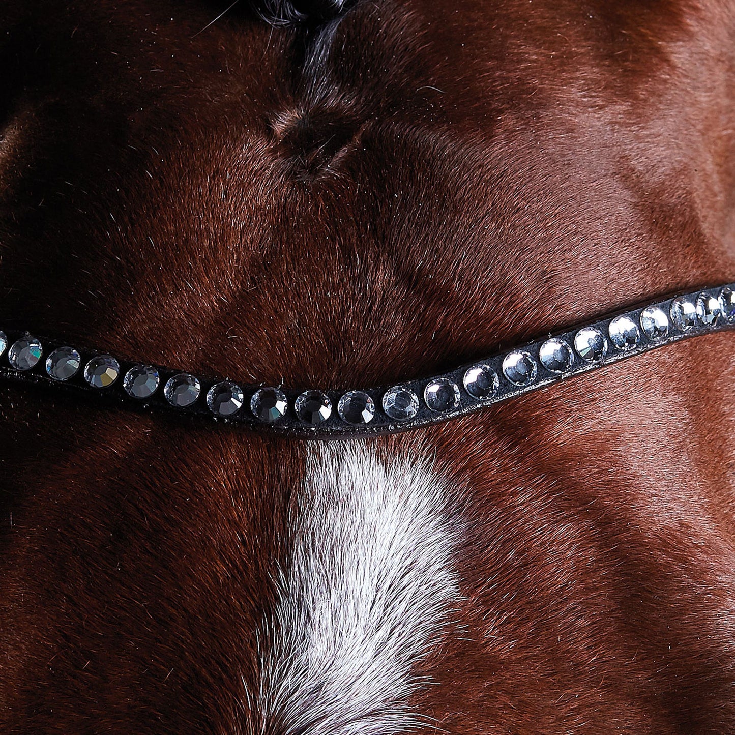 COLLEGIATE COMFITEC CRYSTAL BRIDLE