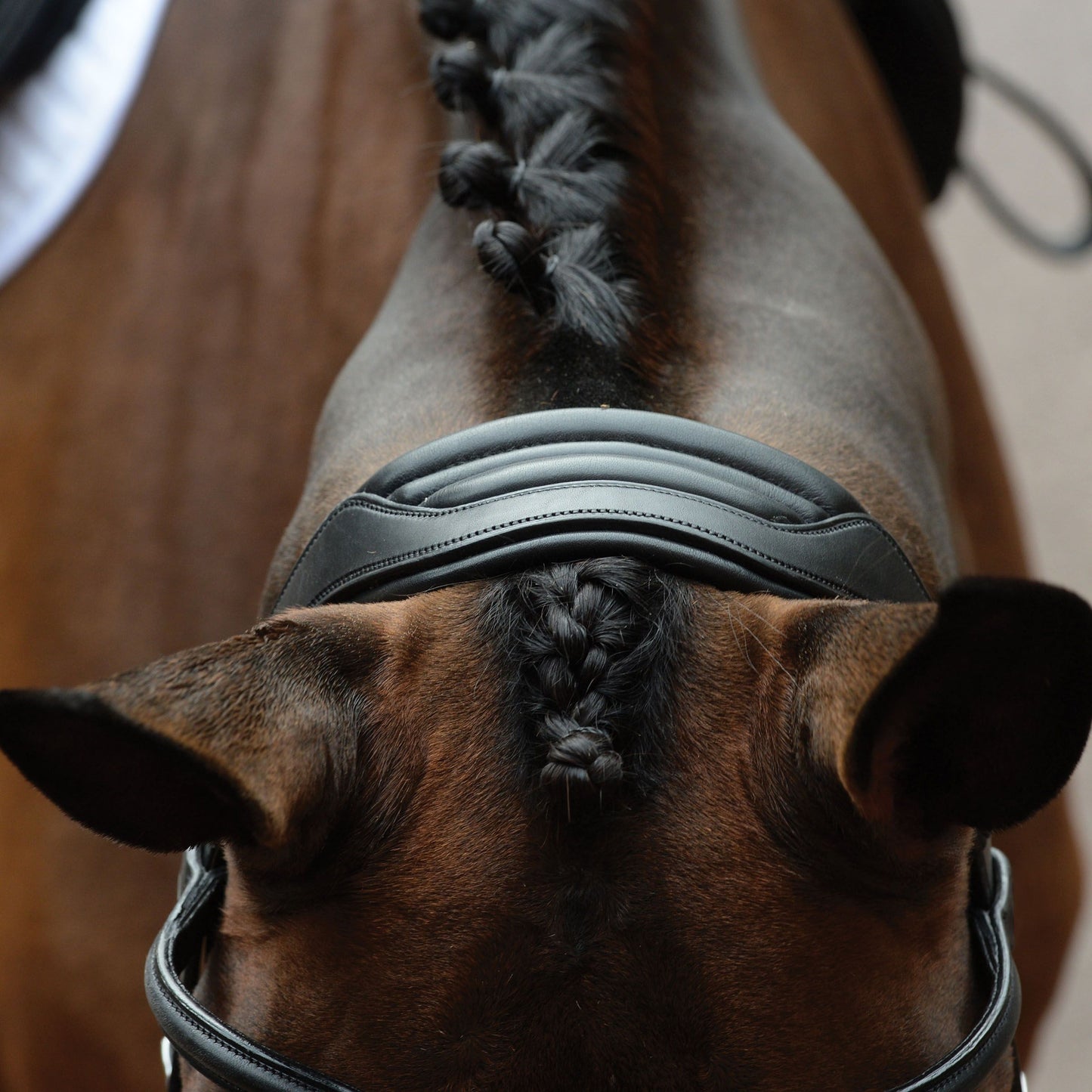 COLLEGIATE COMFITEC VOGUE ANATOMICAL BRIDLE