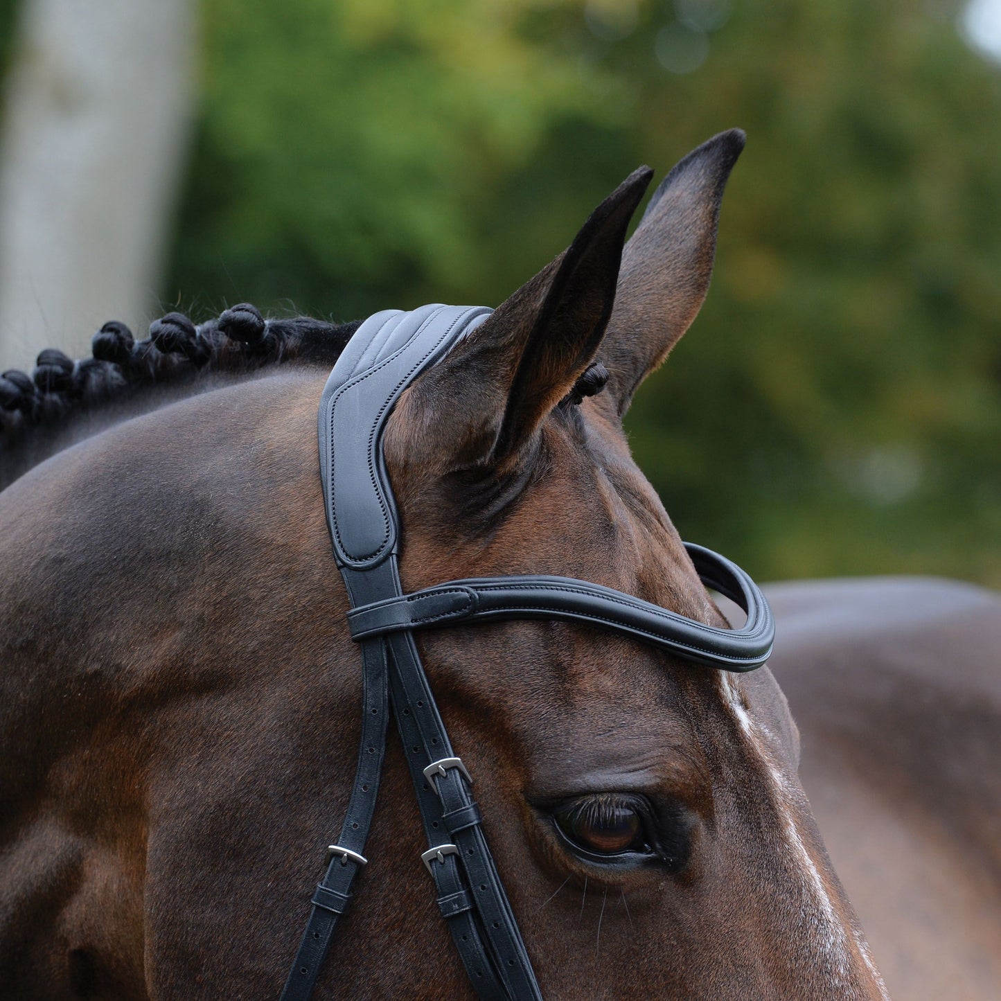 COLLEGIATE COMFITEC VOGUE ANATOMICAL BRIDLE