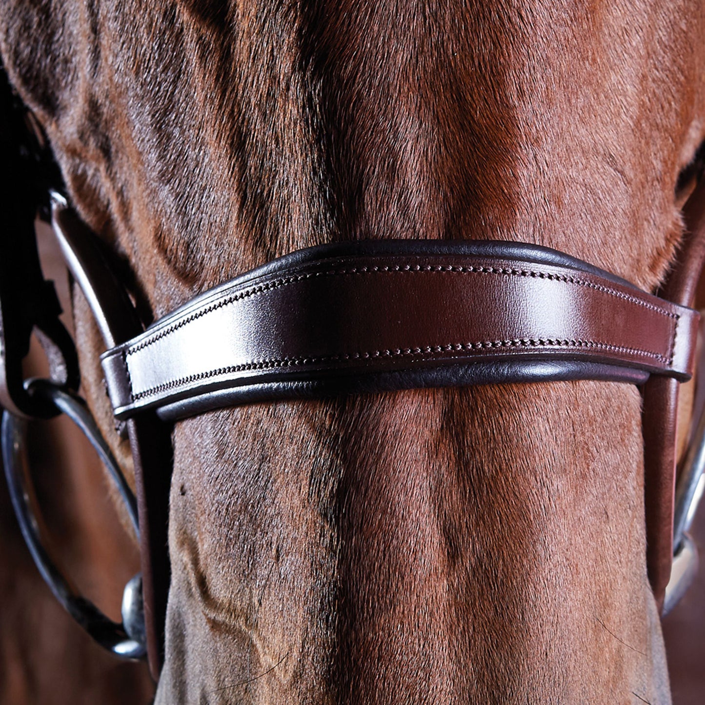 COLLEGIATE COMFITEC CRYSTAL BRIDLE