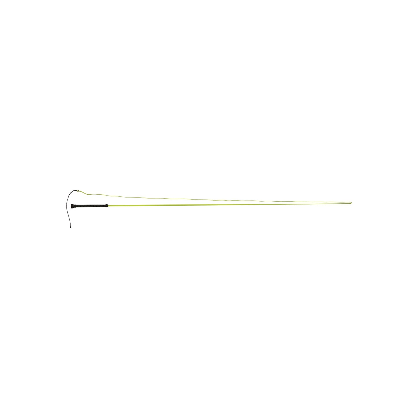 DUBLIN BRIGHTS LUNGE WHIP