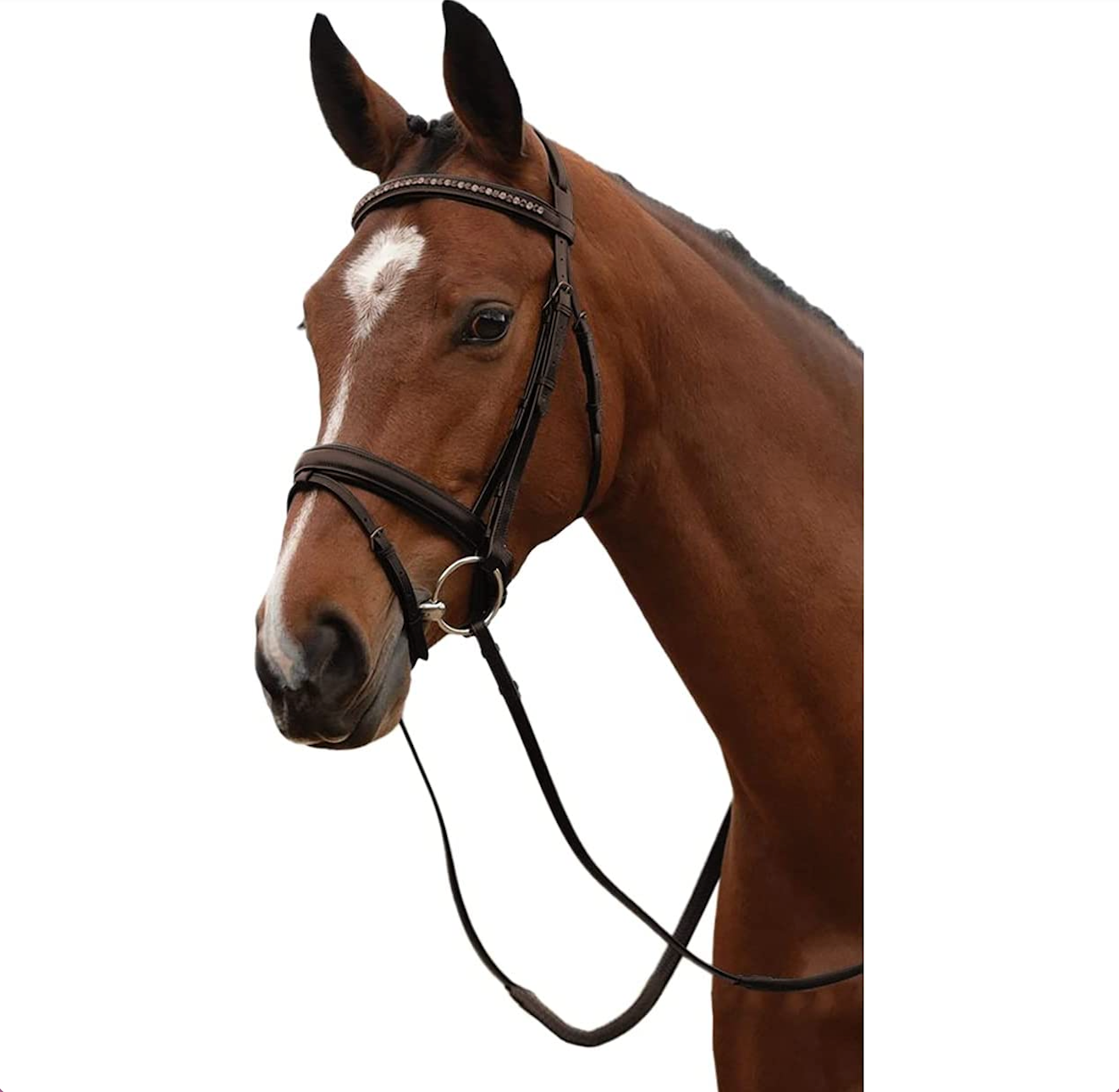 KINCADE PADDED CRYSTAL CRANK FLASH BRIDLE