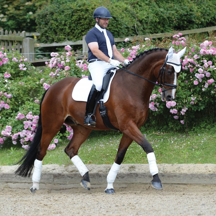 WEATHERBEETA PRIME DRESSAGE SADDLE PAD