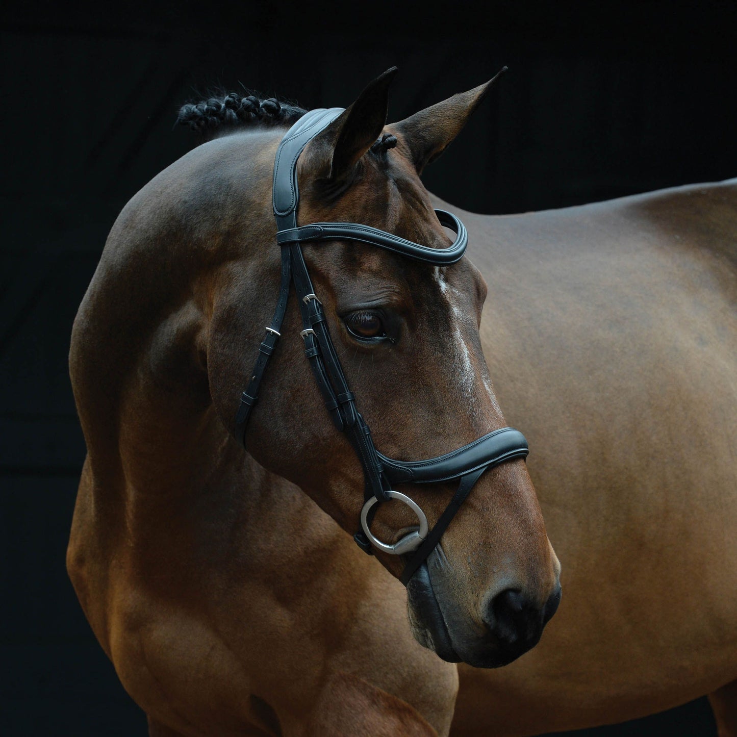 COLLEGIATE COMFITEC VOGUE ANATOMICAL BRIDLE