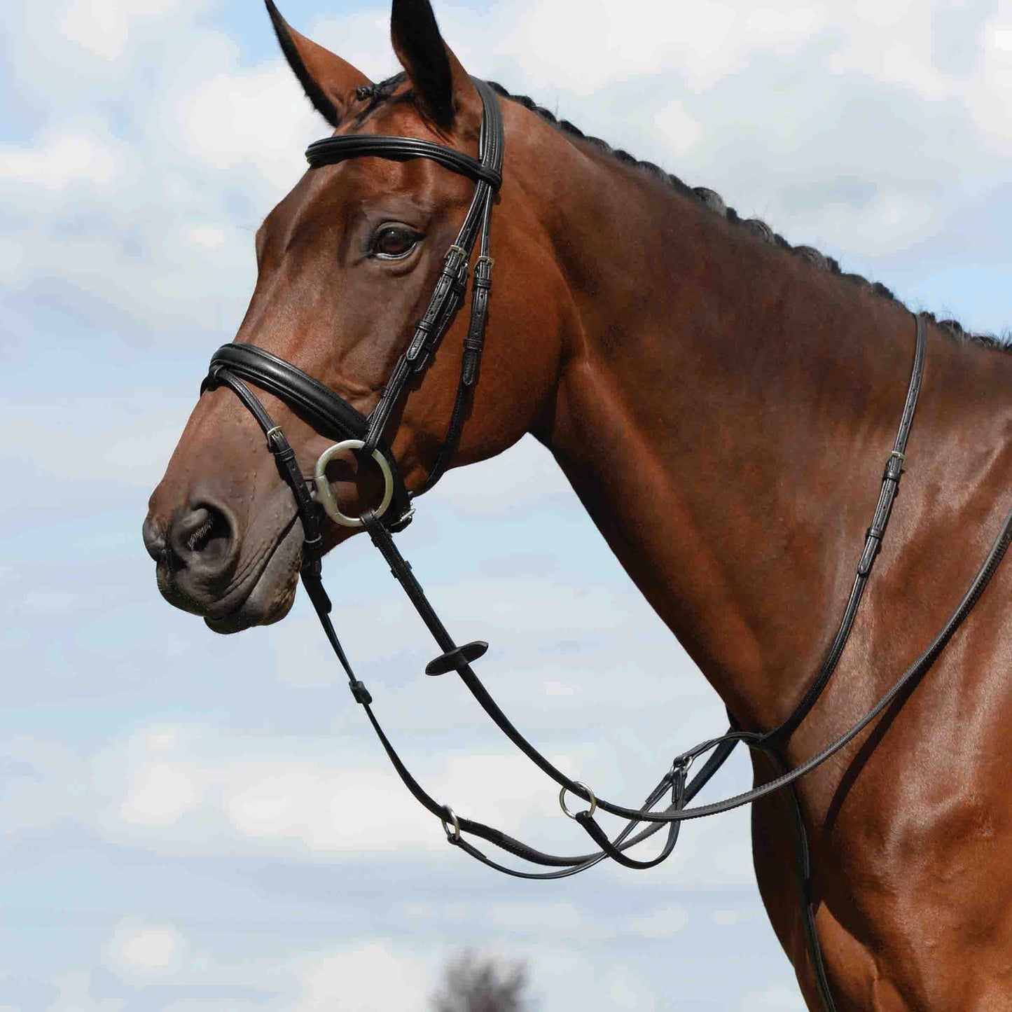 COLLEGIATE SYNTOVIA+ PLAIN FLAT RUNNING MARTINGALE