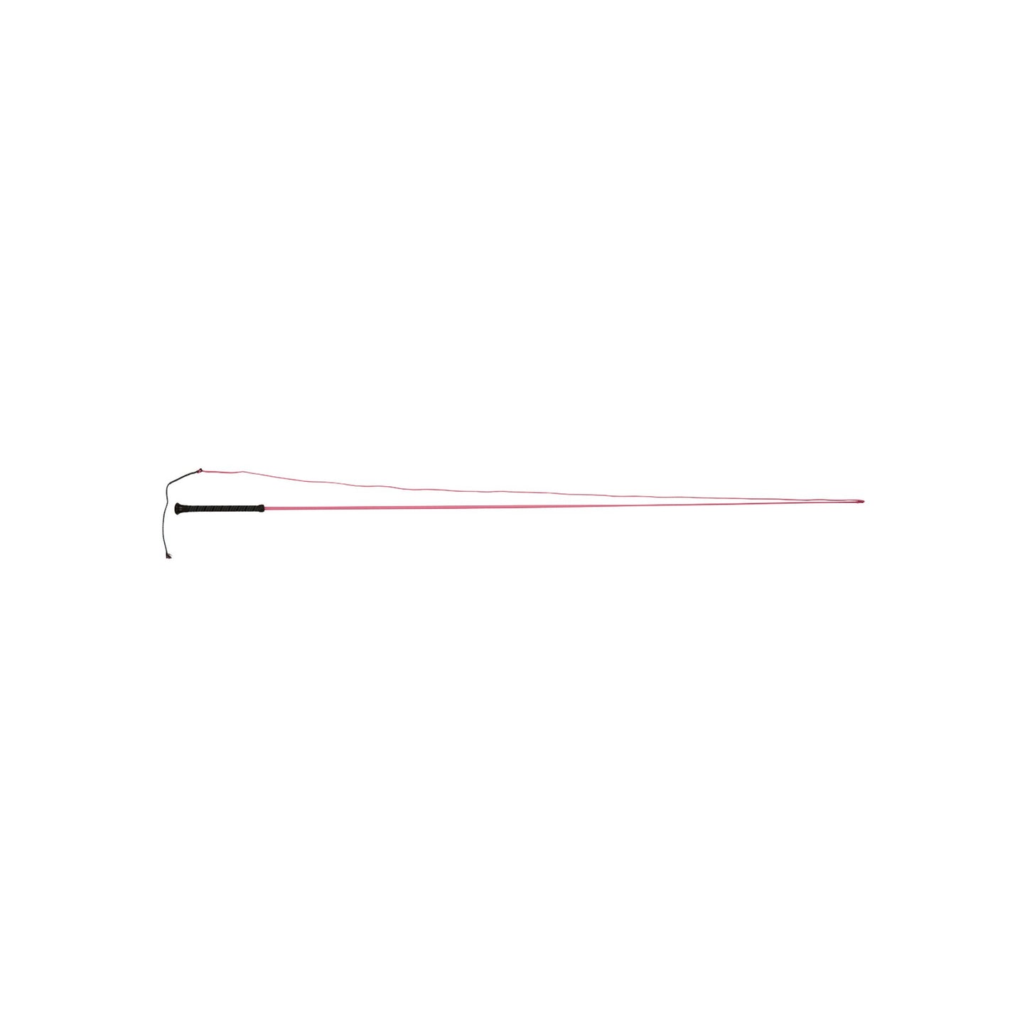 DUBLIN BRIGHTS LUNGE WHIP