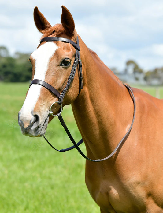 KINCADE  Classic Flat Hunt Bridle With Reins
