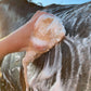 ECO-FRIENDLY ORIGINAL SHAMPOO BAR