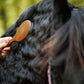 HAIRY PONY Mane and Tail Brush