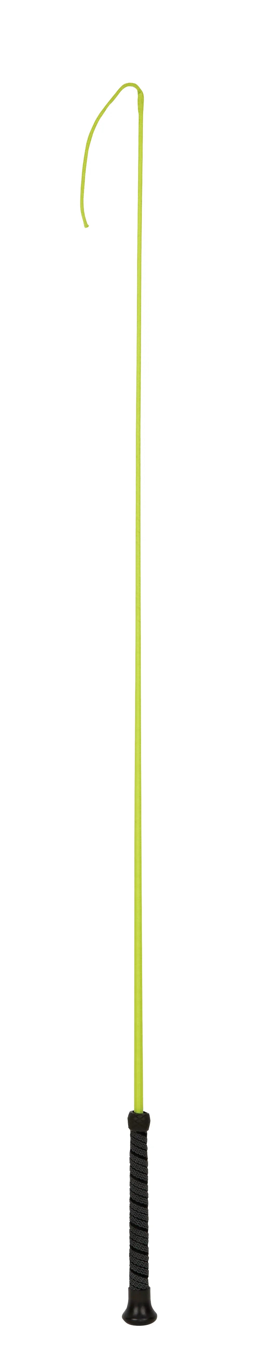 DUBLIN BRIGHTS DRESSAGE WHIP