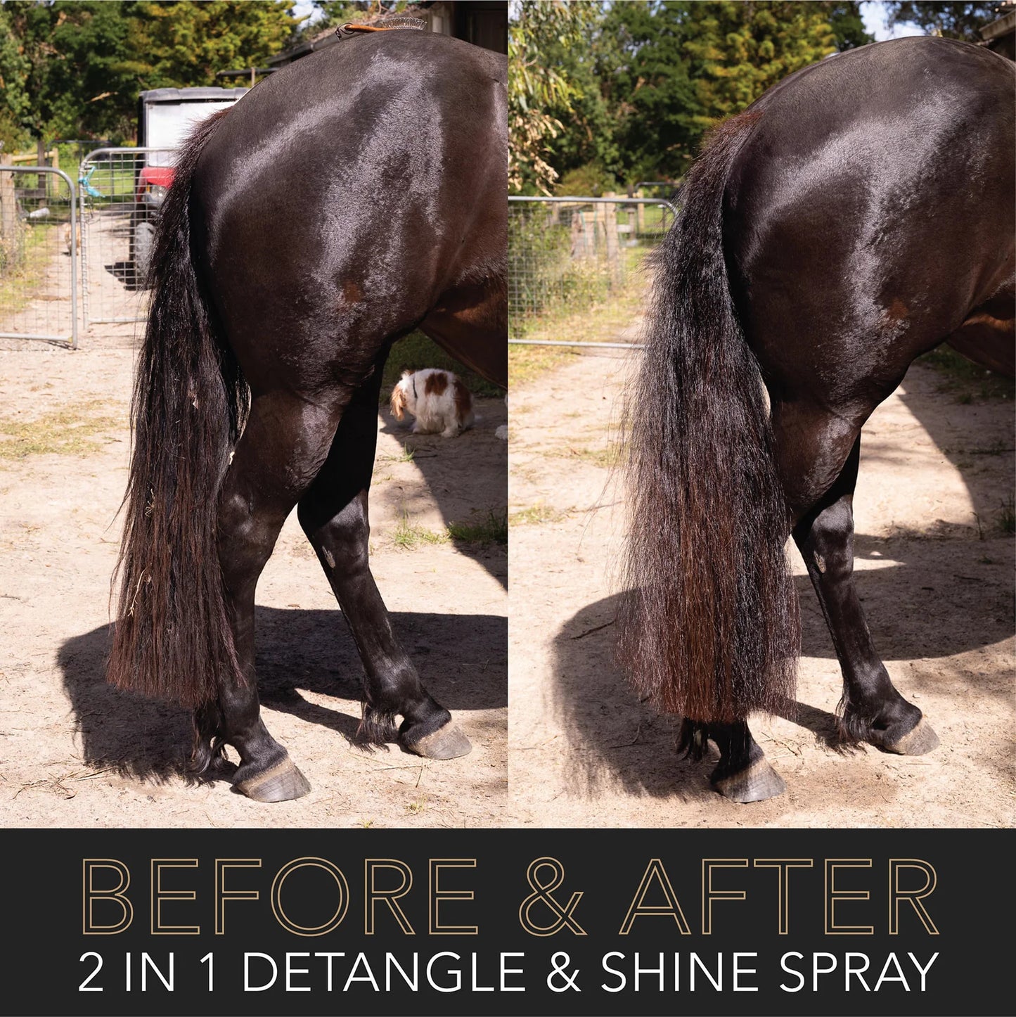 2 in 1 Detangle & Shine Spray - Original