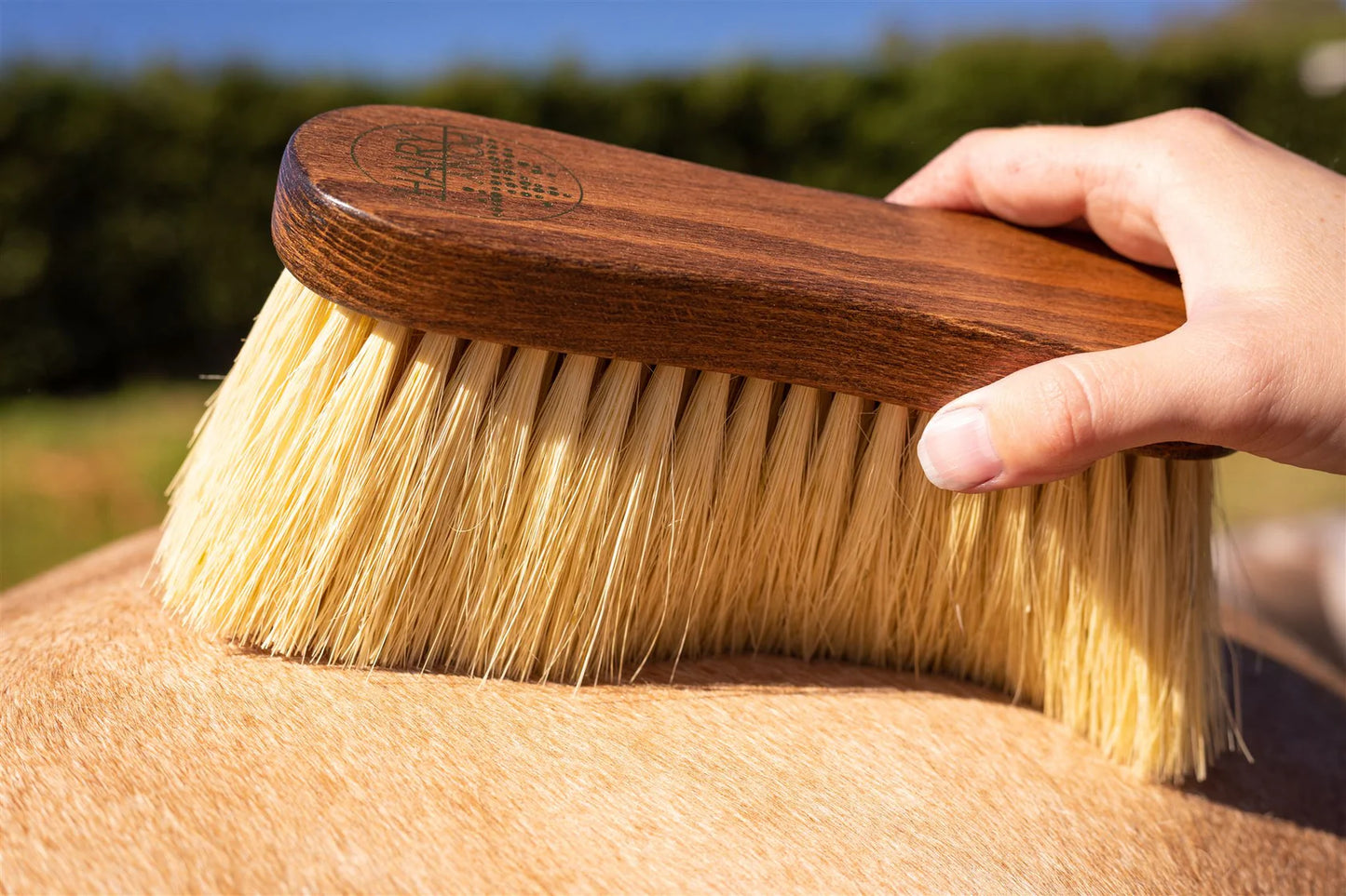 FLICK BRUSH