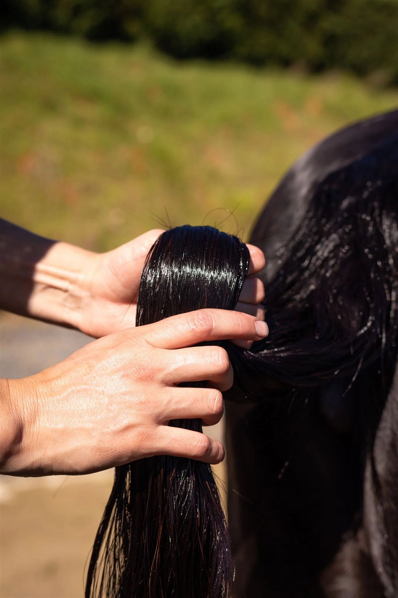 HAIRY PONY Hair Repair - Raspberry & Sweet Pomegranate