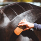 QUARTER MARK HORSE BRUSH