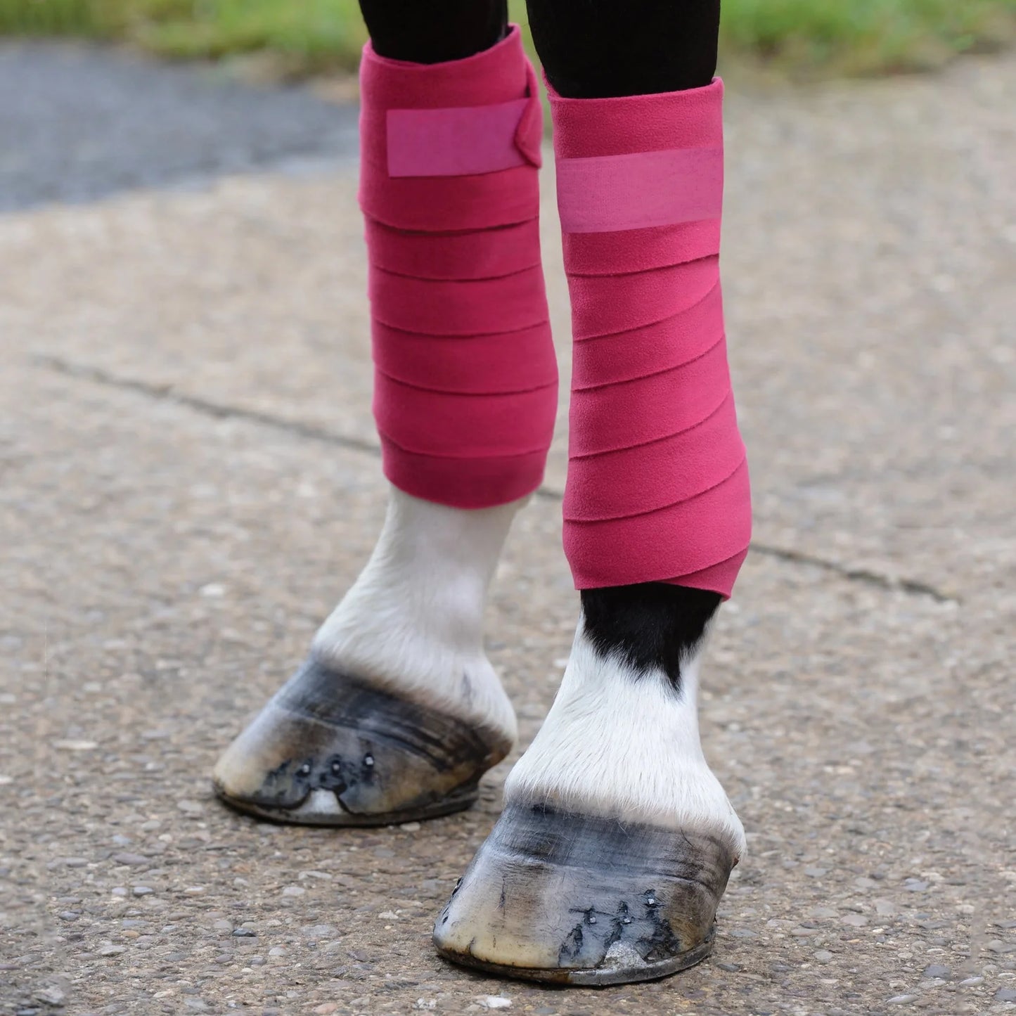 SAXON COORDINATE FLEECE BANDAGES