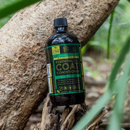 ESSENTIAL OIL COAT CONDITIONER - AUSTRALIAN SUMMER