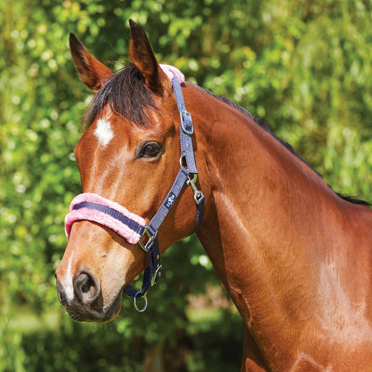 SAXON ELEMENT FLEECE HEADCOLLAR