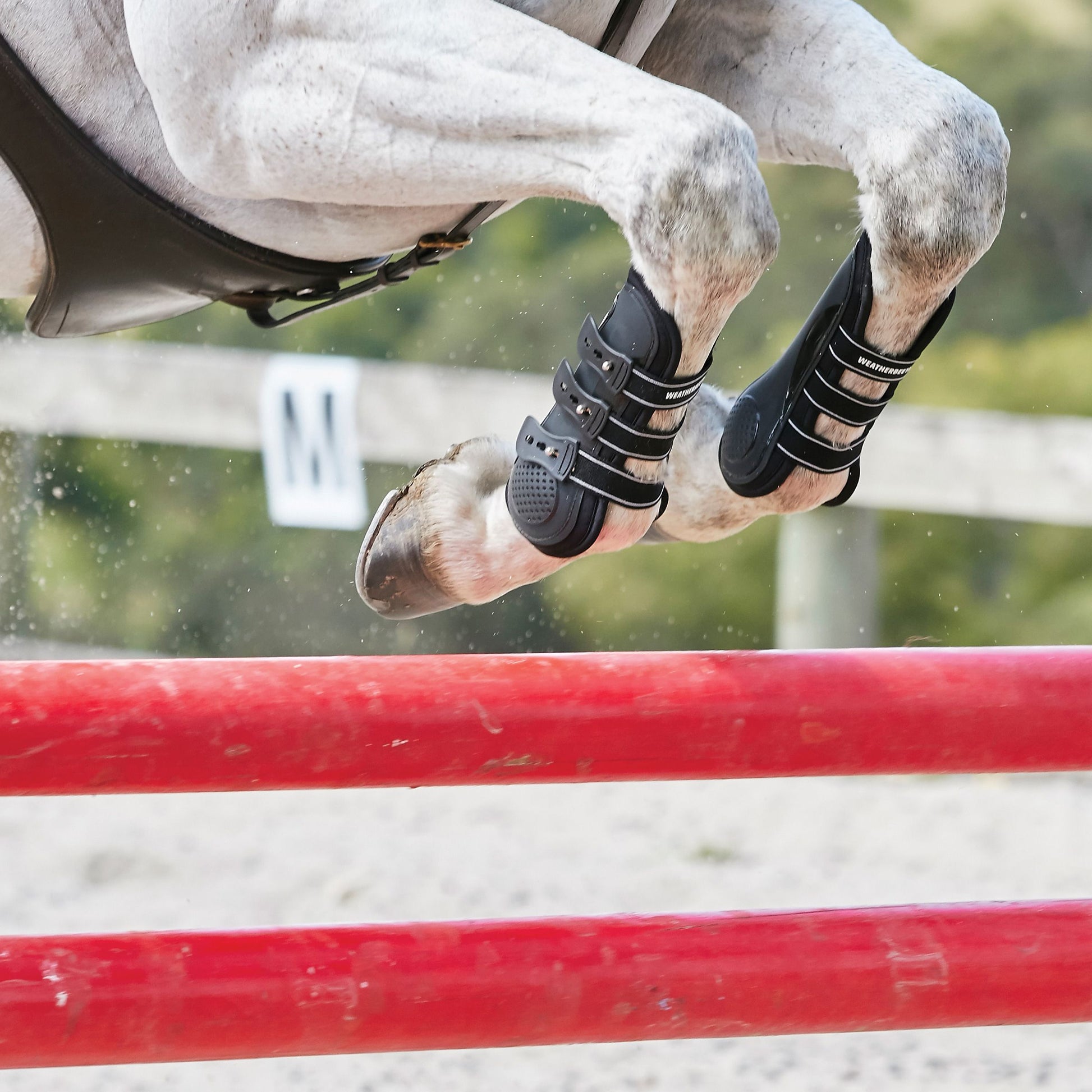 weatherbeeta eventing boots