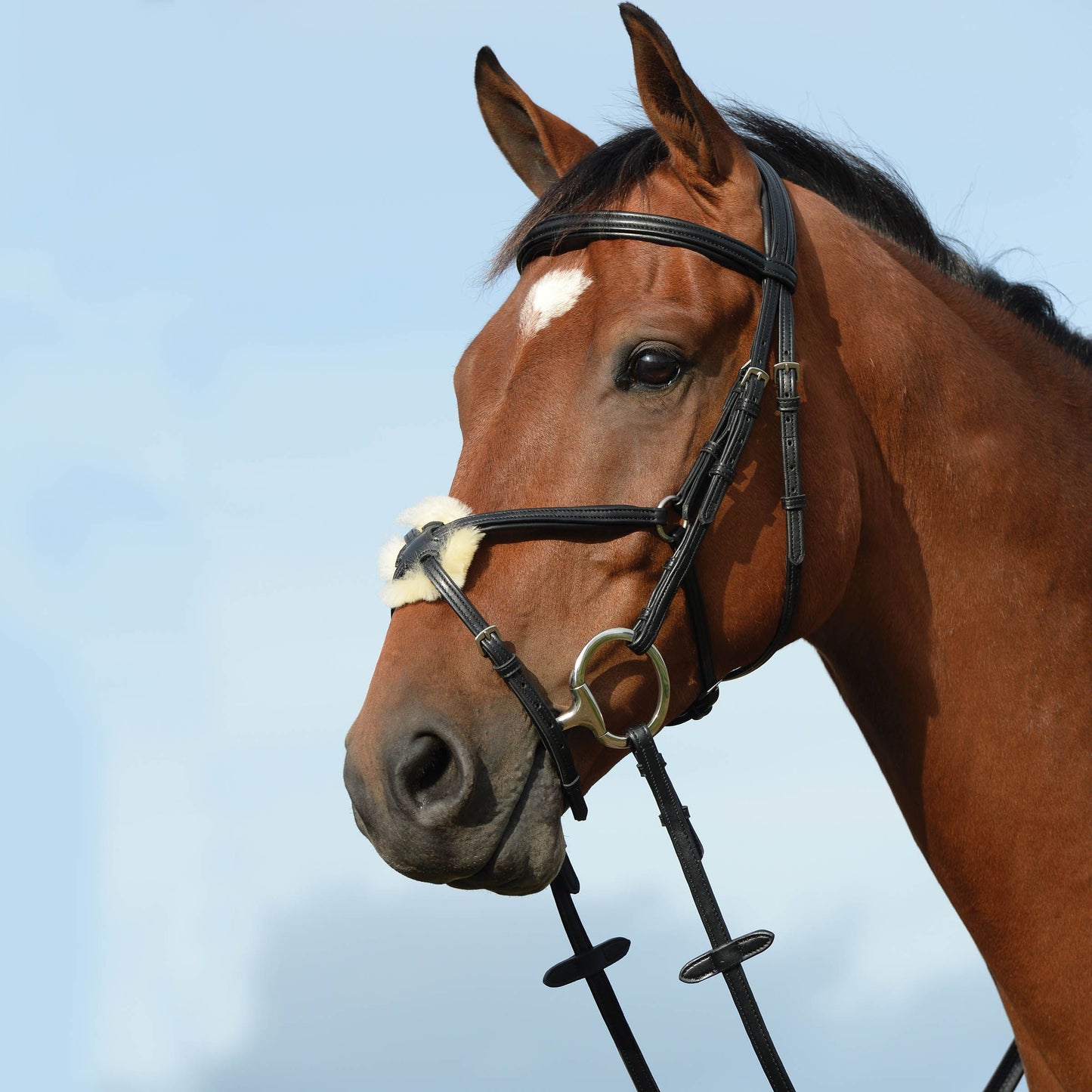 COLLEGIATE SYNTOVIA+ PADDED RAISED FIGURE 8 BRIDLE