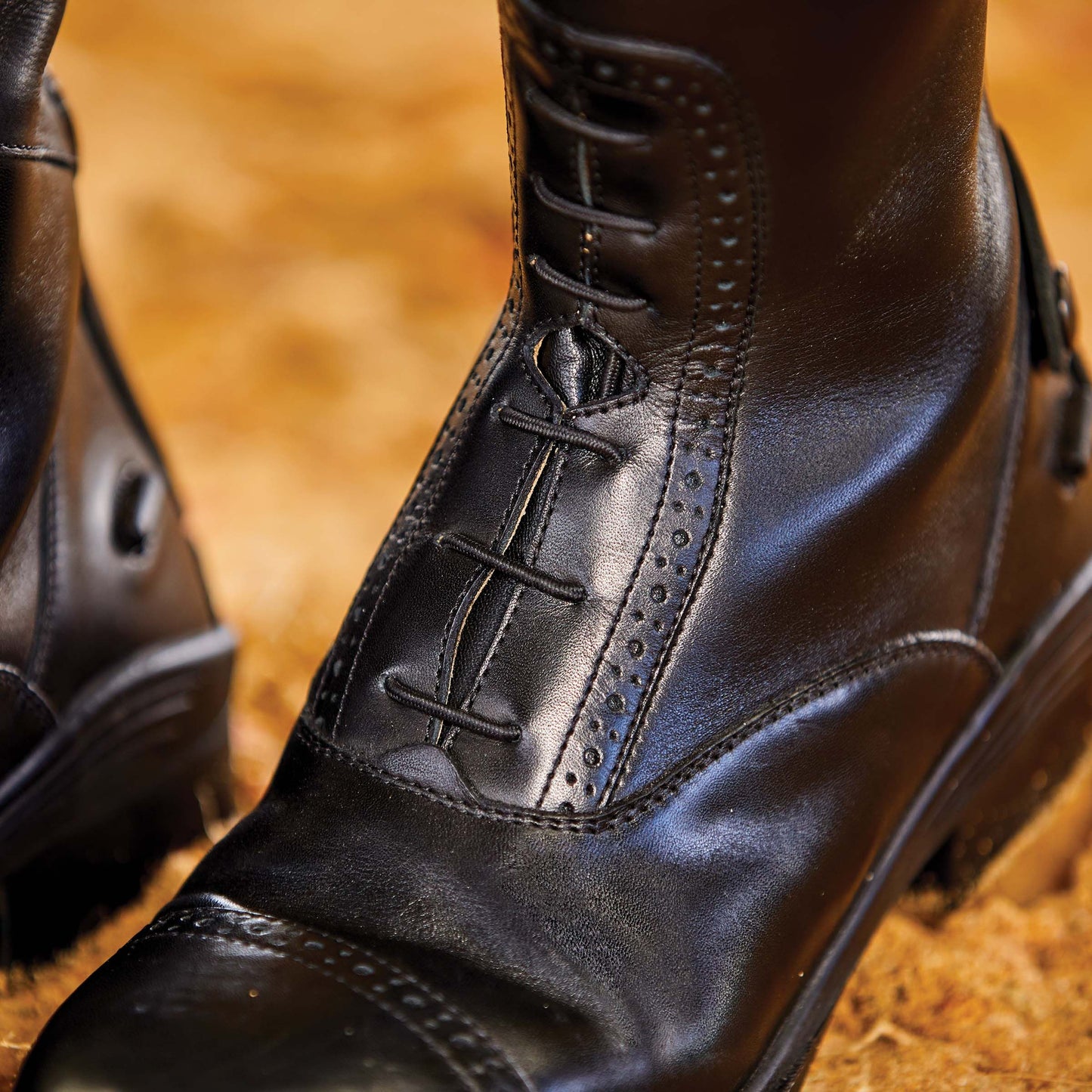 DUBLIN EVOLUTION TALL FIELD BOOTS