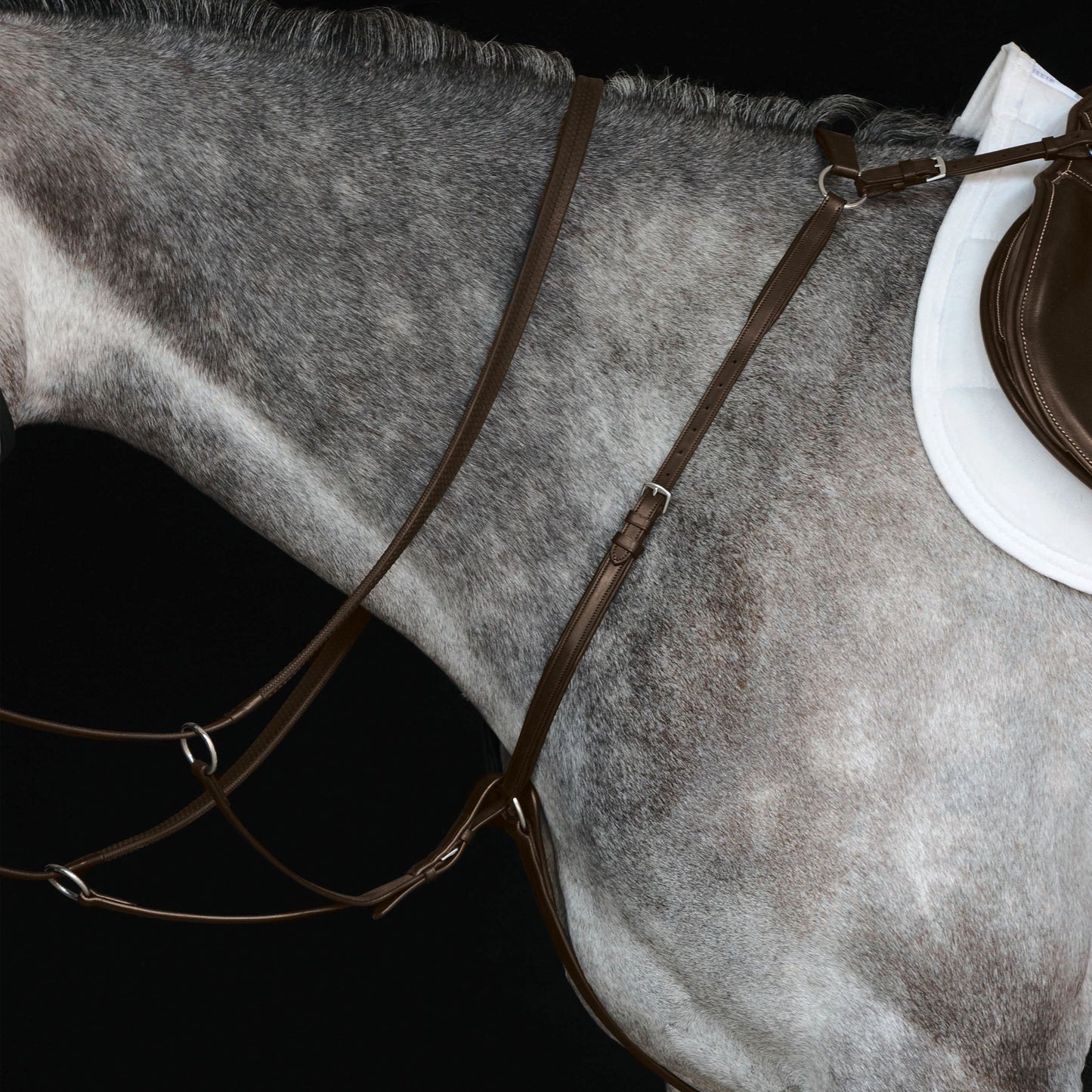 COLLEGIATE HUNTER BREAST PLATE IV