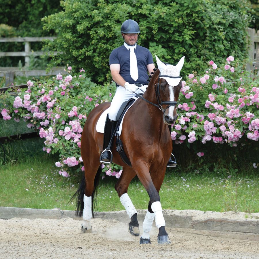 WEATHERBEETA PRIME DRESSAGE SADDLE PAD