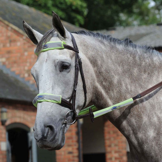 WEATHERBEETA REFLECTIVE BRIDLE KIT 4 PIECE