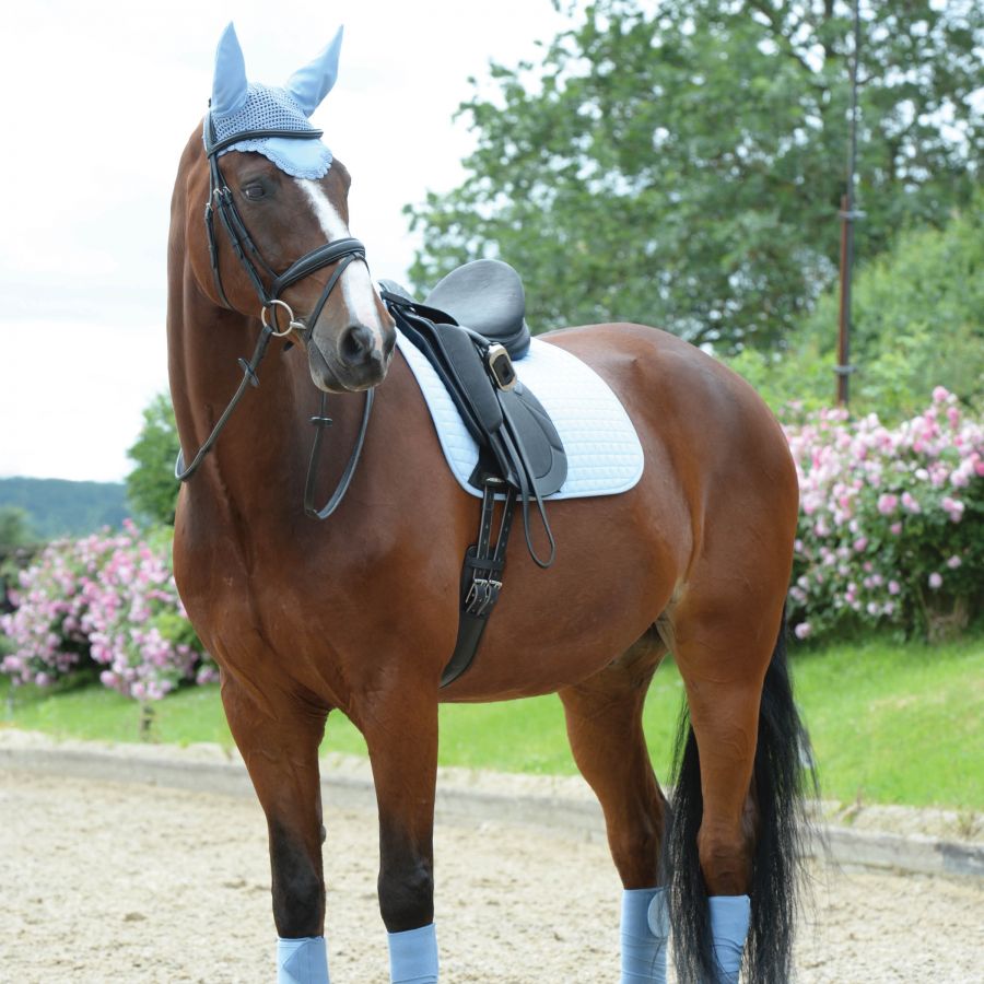 WEATHERBEETA PRIME DRESSAGE SADDLE PAD