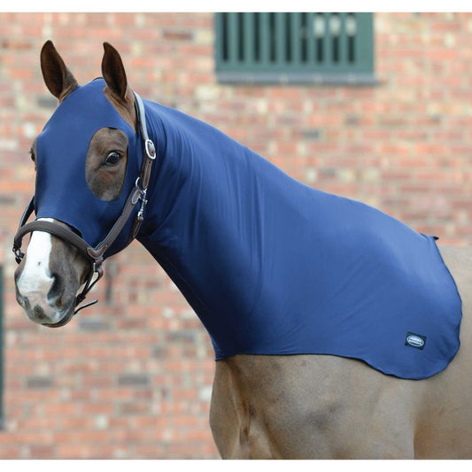 WEATHERBEETA STRETCH HOOD